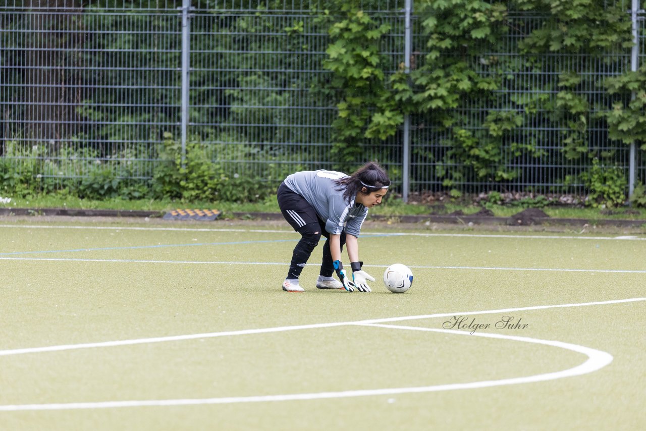 Bild 253 - F SV Eidelstedt - SC Alstertal-Langenhorn : Ergebnis: 2:7